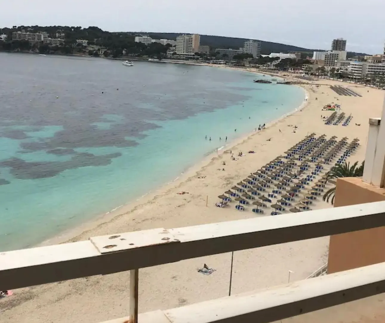 Apartment Magaluf Torrenova Spain